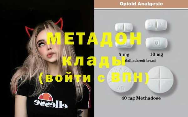 прущие грибы Аркадак