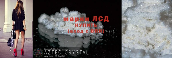 прущие грибы Аркадак