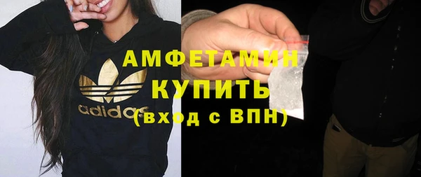 прущие грибы Аркадак