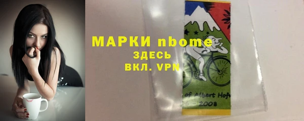 прущие грибы Аркадак