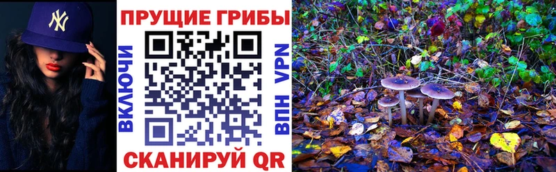 Галлюциногенные грибы ЛСД  Руза 